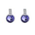 Austrian Crystals Cubic Zirconia Stud Earring 40200004