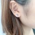 Cubic Zirconia Star Stud Earring 40200015