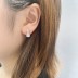 Cubic Zirconia Waterdrop Stud Earring 40200016