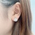 Cubic Zirconia Camellia Stud Earring 40200021