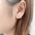 Cubic Zirconia Anchor Stud Earring 40200029