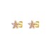 925 Sterling Silver Zirconia Flowers Stud Earrings 40200033