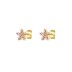 925 Sterling Silver Zirconia Flowers Stud Earrings 40200033