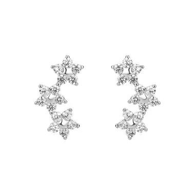 Silver Cubic Zirconia Star Stud Earring 40200040