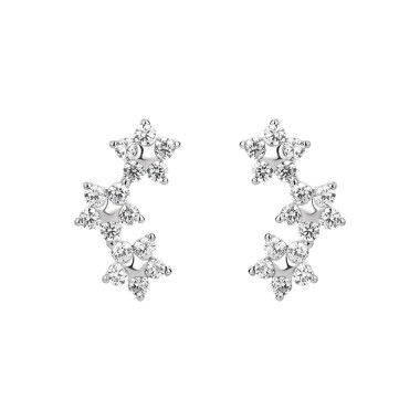 Silver Cubic Zirconia Star Stud Earring 40200040