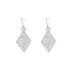 Cubic Zirconia Geometric Stud Earring 40200052