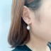 Silver Cubic Zirconia Leaf Stud Earring 40200066