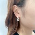 Silver Cubic Zirconia Waterdrop Stud Earring 40200070