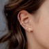 Silver Cubic Zirconia Flower Stud Earring 40200075