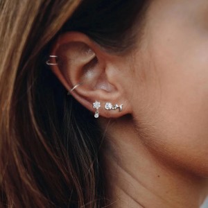 Silver Cubic Zirconia Flower Stud Earring 40200075