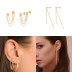 Tassel Chain Zirconia Silver Sterling Stud Earring 40200079