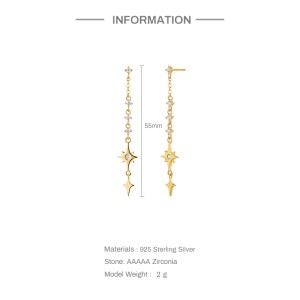 925 Sterling Silver Octangon Star Zirconia Stud Earring 40200090