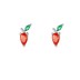 Kids 925 Silver Zirconia Carrot Stud Earring 40200113