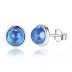 Silver Zirconia Month Birthstone Stud Earrings 40200162