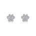 Sterling Silver Zirconia Cat Footprint Stud Earrings 40200204