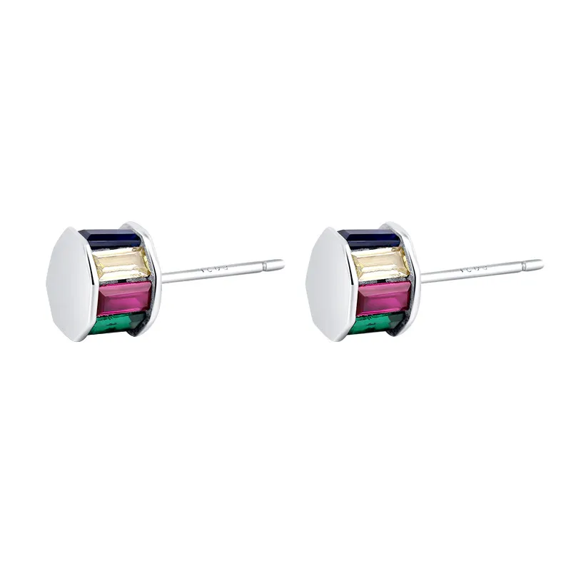 Rainbow Zirconia Column Body Stud Earrings 40200238