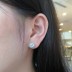 Shiny Zirconia Stud Earring 40200250