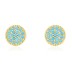 Elegant Turquoise Zirconia Stud Earring 40200251