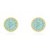 Elegant Turquoise Zirconia Stud Earring 40200251
