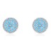 Elegant Turquoise Zirconia Stud Earring 40200251