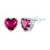 Love Heart Birthday Zirconia Stud Earring 40200269