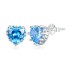 Love Heart Birthday Zirconia Stud Earring 40200269