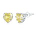 Love Heart Birthday Zirconia Stud Earring 40200269