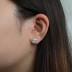 5A Square Zirconia Stud Earring 40200284