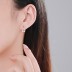Lovely Zirconia Heart Stud Earring 40200304