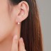 Lovely Waterdrop Zirconia Stud Earring 40200306