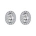 Sparkle Oval Zirconia Stud Earring 40200312