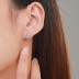 Geometric Waterdrop Zirconia Stud Earring 40200313