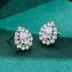 Geometric Waterdrop Zirconia Stud Earring 40200313