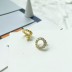 Shiny Zirconia Circle Stud Earring 40200327