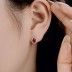 Zirconia Waterdrop Stud Earring 40200337