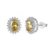 Vintage Oval Zirconia Stud Earrings 40200364