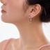 Love Pink Heart Zirconia Tassel Party Stud Earrings 40200387