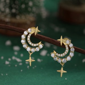 Star Moon Zirconia Stud Earring 40200438