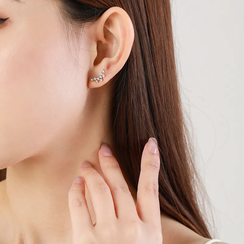 925 Sterling Silver Bubble Zircon Stud Earring 40200648 - image1