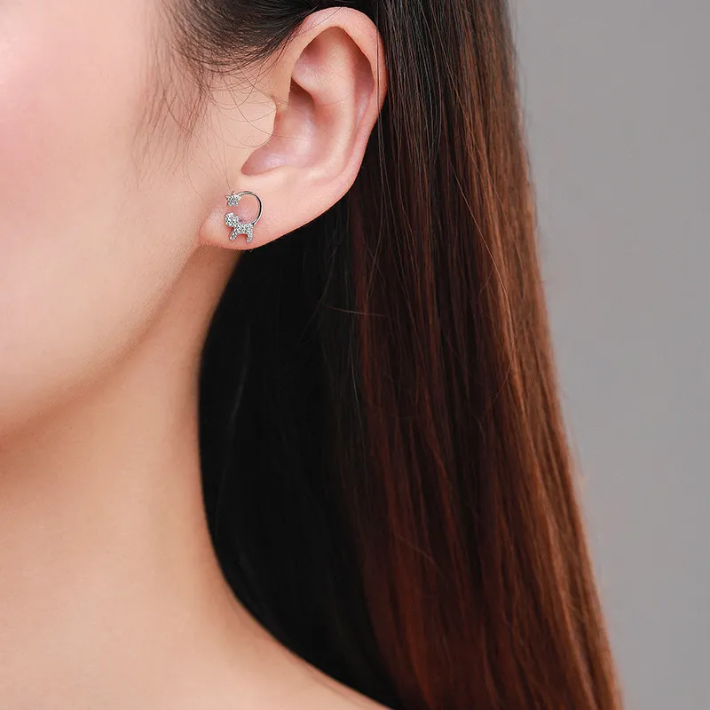 925 Sterling Silver Cat Star Zircon Stud Earring 40200661 - image1