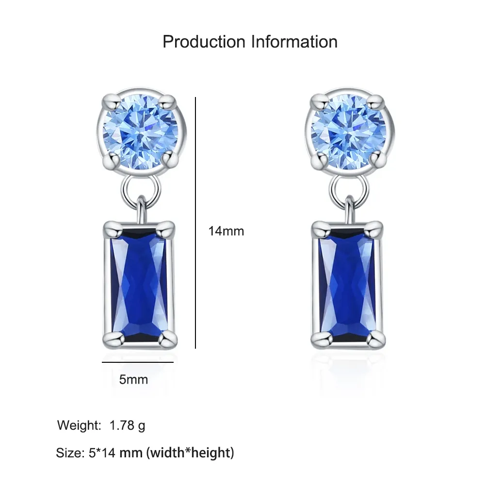 925 Sterling Silver Geometric Blue Zircon Stud Earring 40200698 - image2