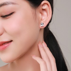 925 Sterling Silver Rectangular Zircon Stud Earring 40200704