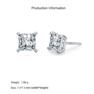 925 Sterling Silver Princess-Cut Zircon Stud Earring 40200713