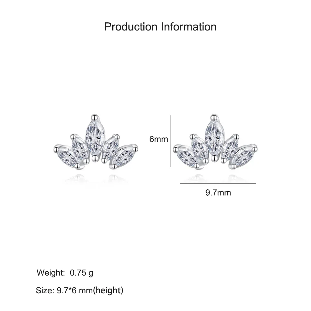 925 Sterling Silver Crown Zircon Stud Earring 40200728 - image2