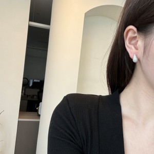 925 Silver Micro-Pave 15mm/23mm Teardrop Stud Earrings 40200784