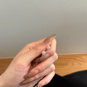 925 Silver Crystal Snowflake Stud Earrings 40200785