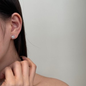 925 Silver Crystal Snowflake Stud Earrings 40200785