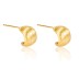Brush Polish Curve Stud Earring 40400037