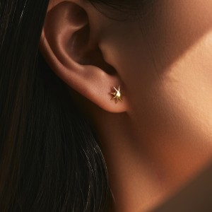 925 Sterling Silver Shining Star Stud Earring 40400090