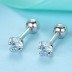 Silver Sparkle 4mm Zirconia Screw Back Stud Earrings 40600001